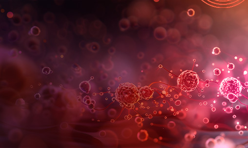 Top of the Top - IMMUNOTERAPIA