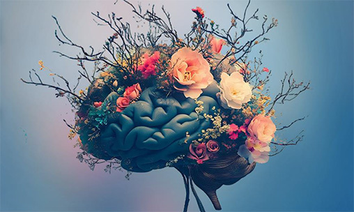 Akademia Neurorehabilitacji dla Młodych Neurologów